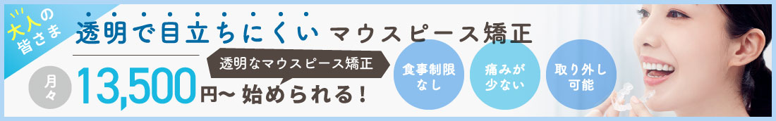 �����Ŗڗ����ɂ����}�E�X�s�[�X����