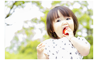 ���S�����q�l��p�f�@���[��