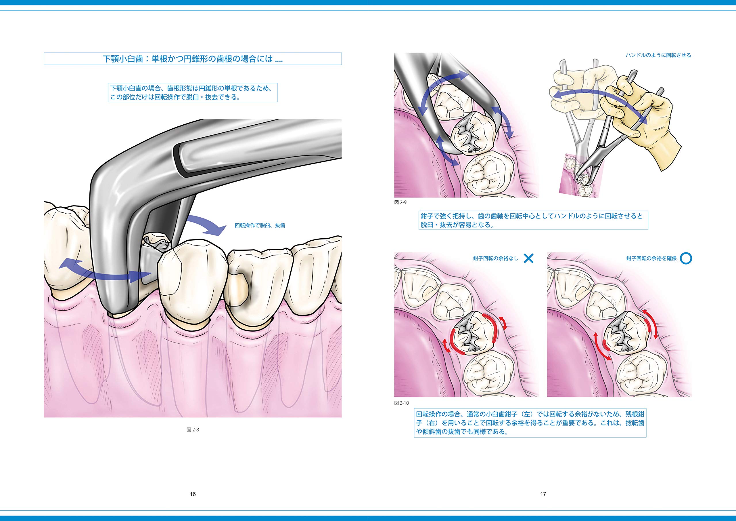 ���񂵔���