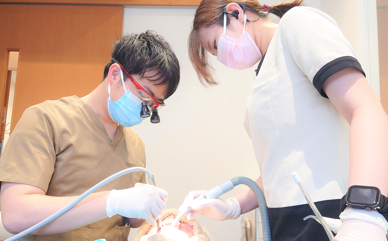 ���Ȏ��Â̗l�q